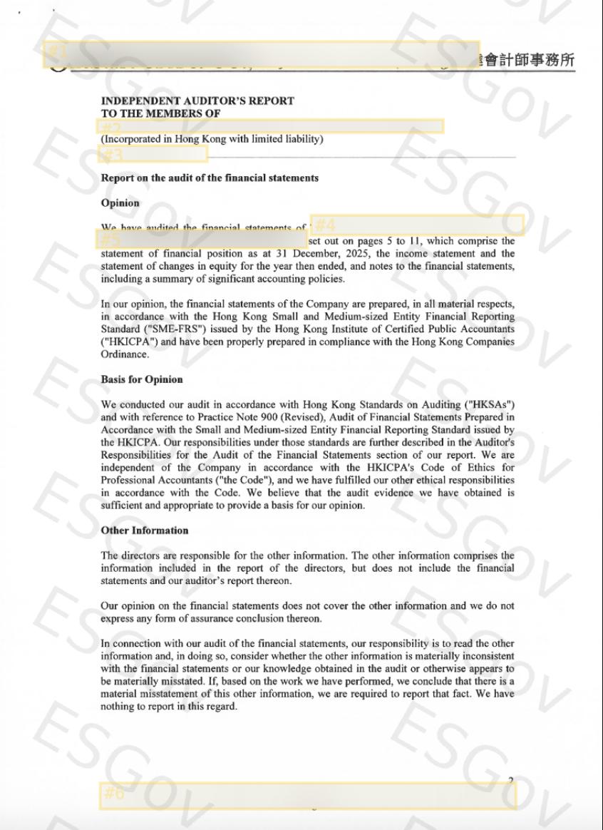 審計報告 Audit Report 範例